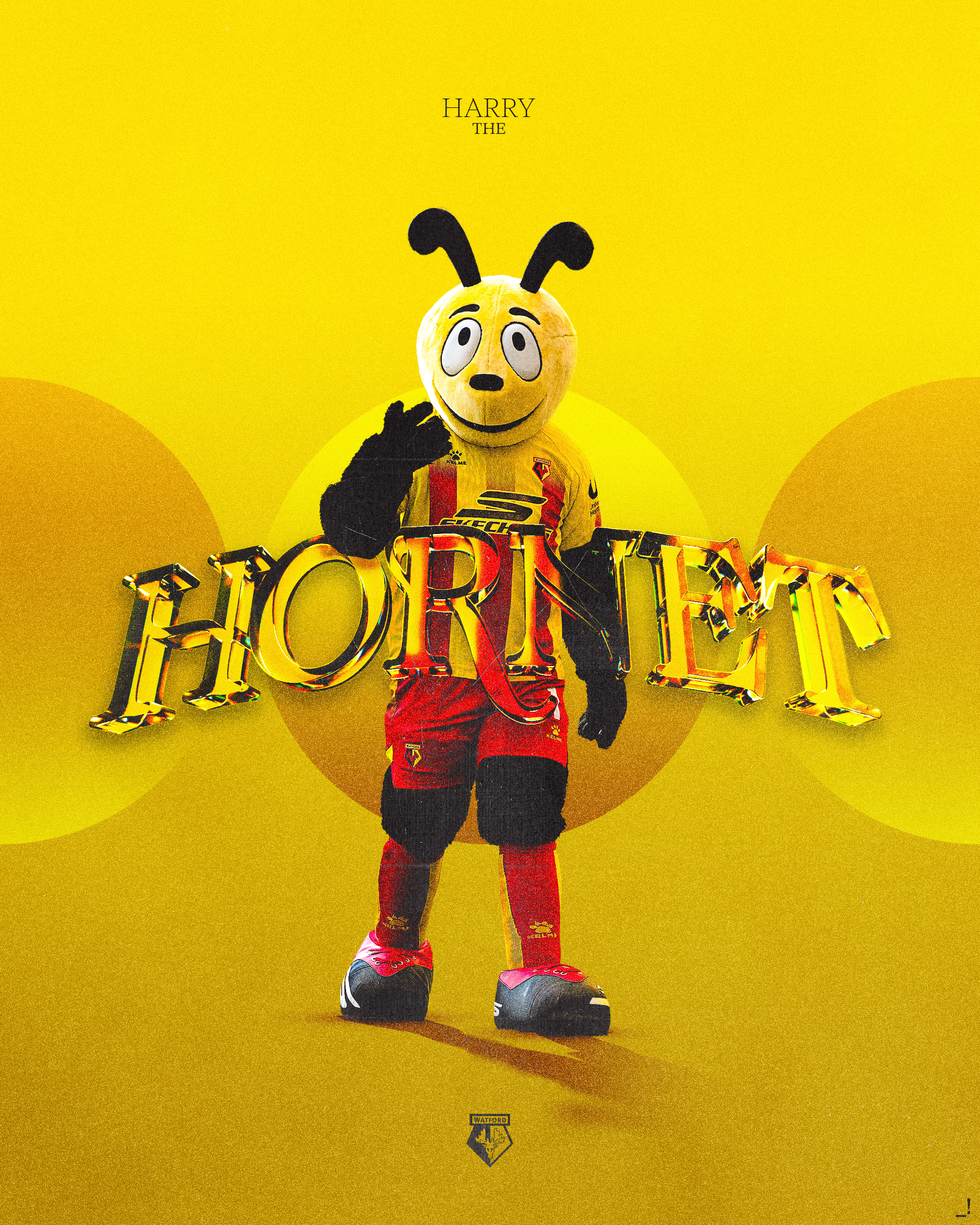 Harry The Hornet
